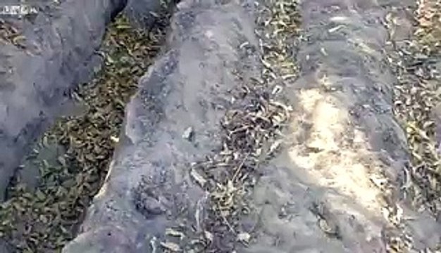 Uno Strano Essere Esce Dalle Rocce, Ma Quello Che Fa Questo Ragazzo Lascia Senza Parole!