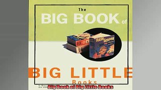EBOOK ONLINE  Big Book of Big Little Books READ ONLINE