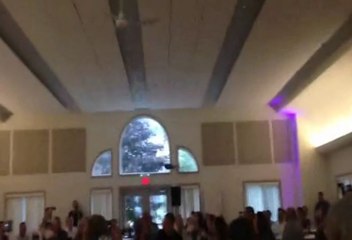 Un hibou censé amener les alliances fonce droit dans une fenêtre: la vidéo hilarante