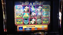 JUNGLE WILD Penny Video Slot Machine with BONUS and a BIG WIN Las Vegas Casino