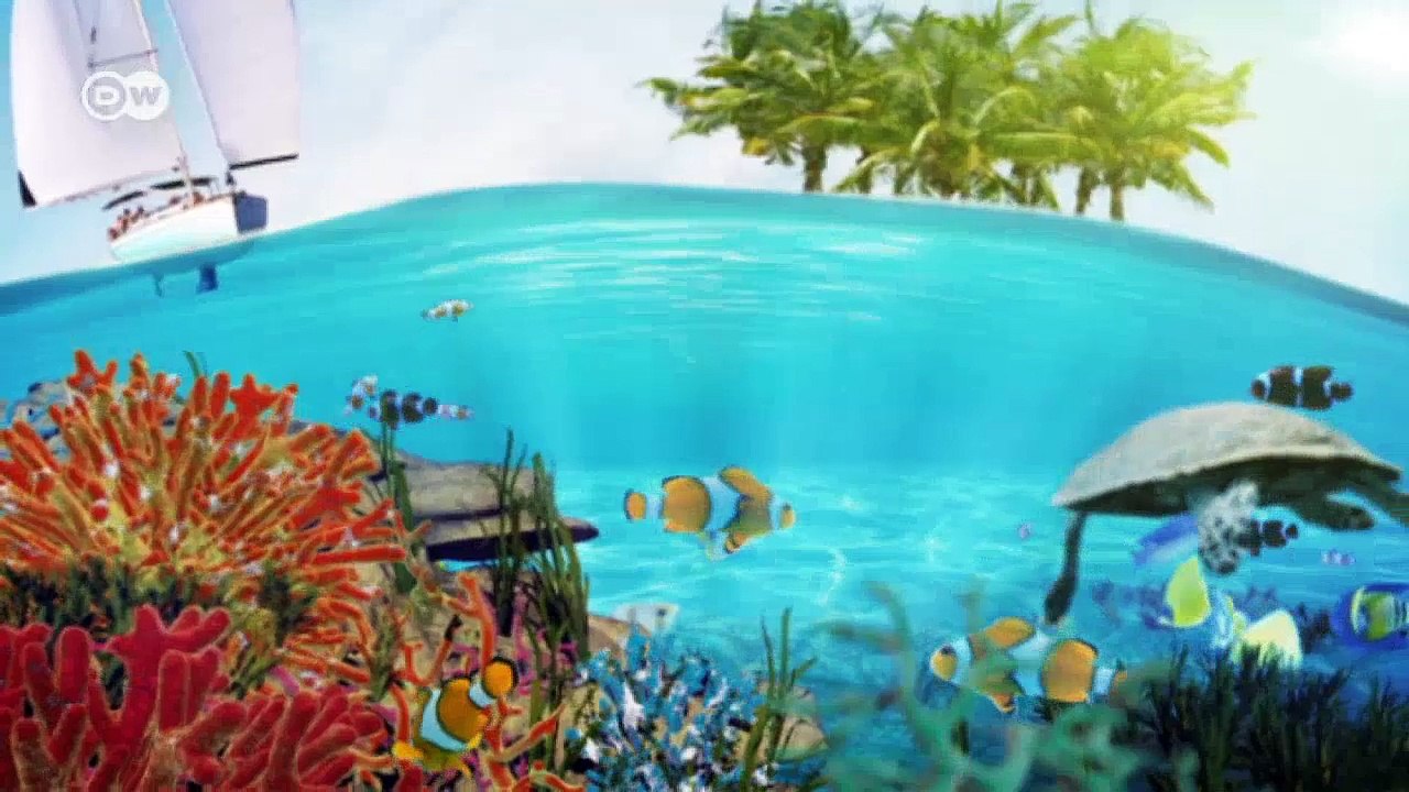 Myanmar: Schutz für die Schätze des Mergui-Archipels | Global 3000