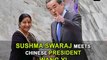 Sushma Swaraj meets Chinese President Wang Yi
