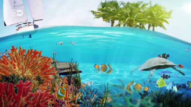 Myanmar: Protecting the treasures of the Mergui Archipelago | Global 3000