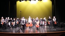 Godalni orkester Glasbene šole Ljubljana Moste - Polje