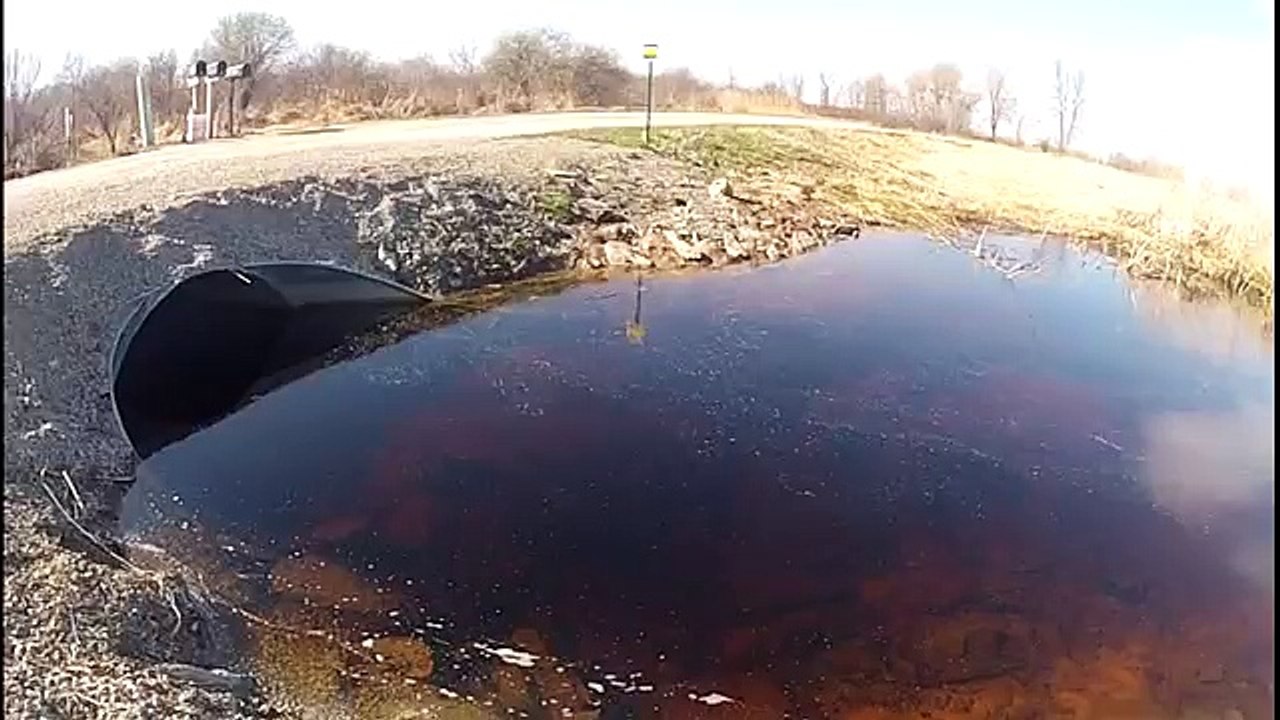 Funny Clips Videos-Watch Online-Best Clips –by Funny & entertainment Videos…Follow Us !!!!!