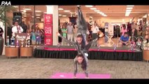 Epic Flexible H0t Girls 2016 - People are Awesome 2016 (Women Compilation)
