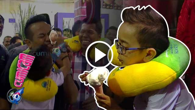 Ingin Ice Cream, Daus Mini Sengsara - Cumicam 18 April 2016