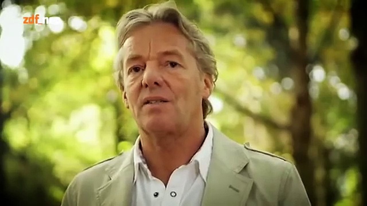 Doku Abnehmen und Ernährung Die Wahrheit über Fitness Dick trotz Sport (Dokumentation Deut