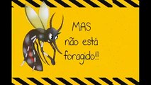 Entre também nessa batalha, vamos juntos combater o Aedes Aegypti!