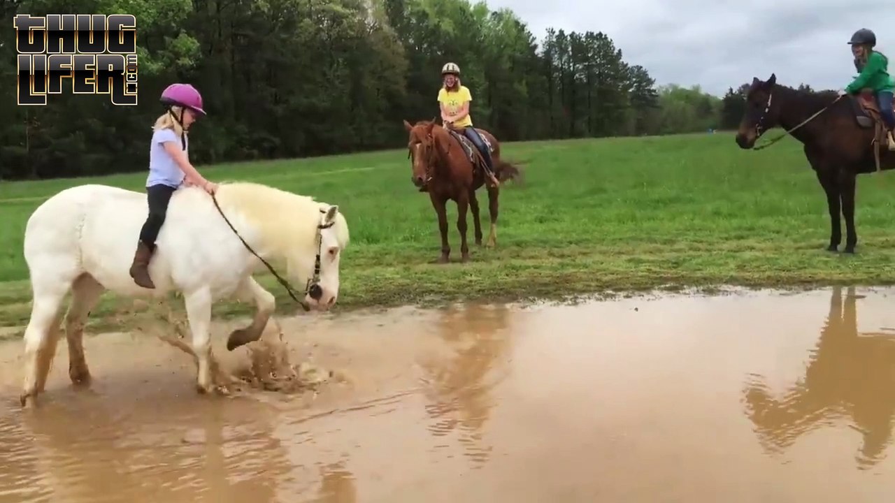 Never trust a horse