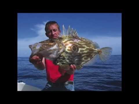 Grand Prix Guyader 2015 - Concours de Pêche