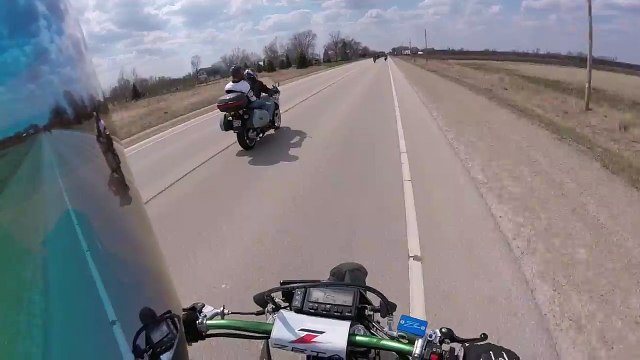 Un chien traverse la route et provoque un accident spectaculaire