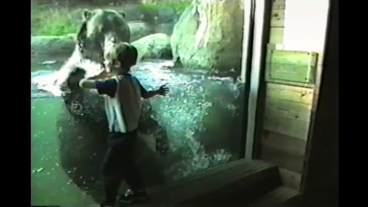 Kids At The Zoo  Compilation