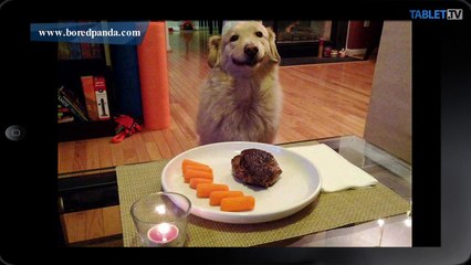 160416-012-073_LIKE_DNA_20160418