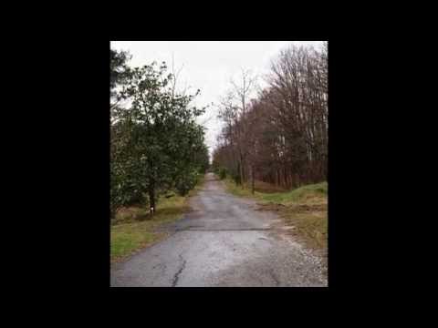 Atatürk Arboretumu Bahçeköy Sarıyer