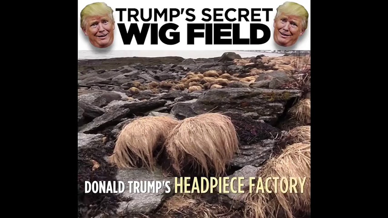 On a retrouvé la réserve de perruques de Donald Trump !