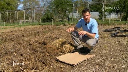 Jardinage : Des conseils pour préparer la terre (Vendée)