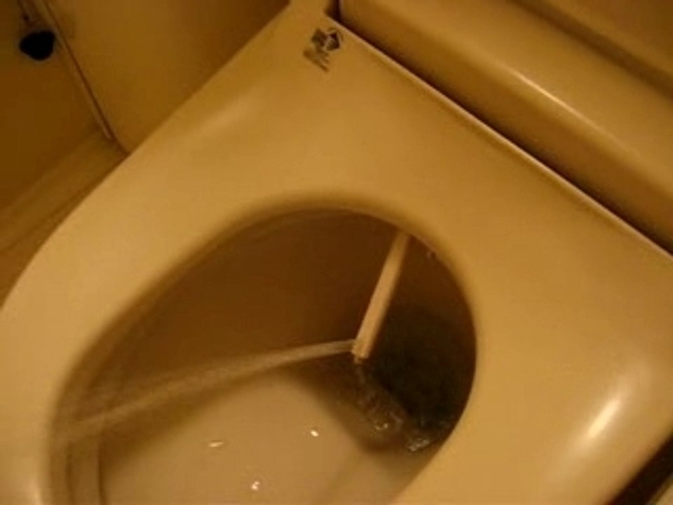 japan toilet fun!!!