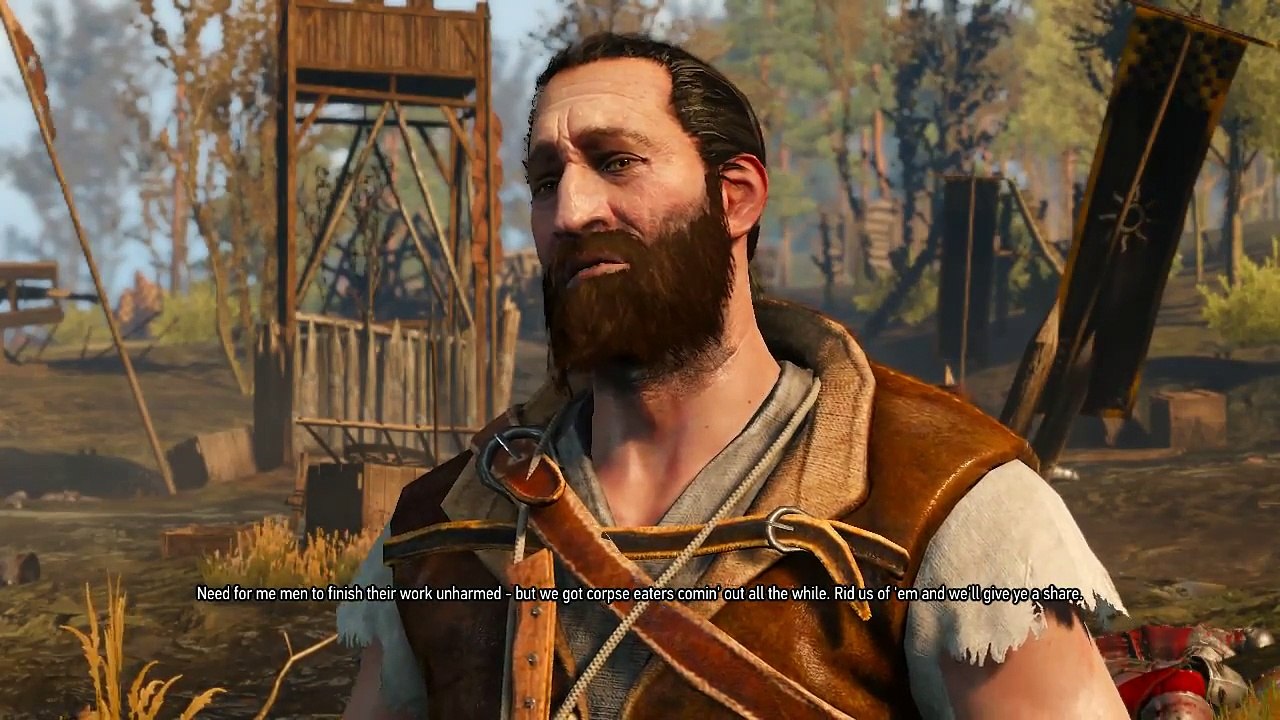 The Witcher 3 P11 [PC]