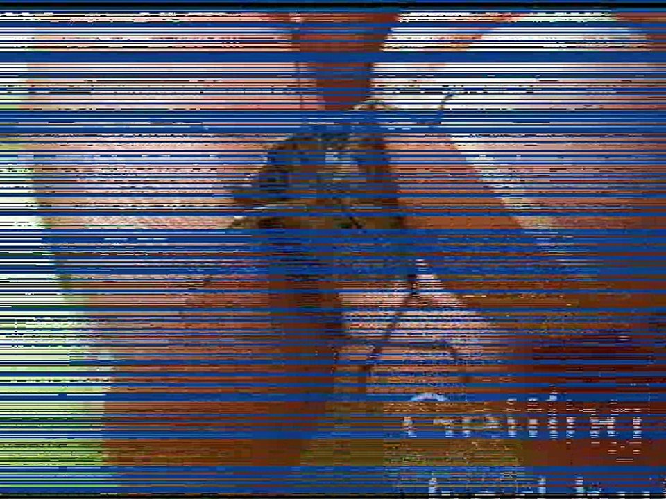 Important Techniques to Avoid Bed Bugs Growth in Homes