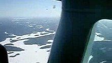 Over_the_Bush