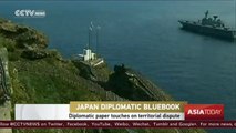 Japanese diplomatic paper touches on territorial dispute