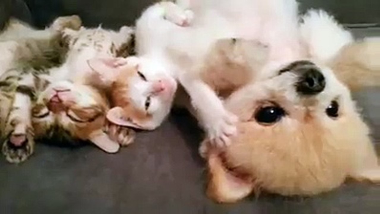 one word for this beautiful video