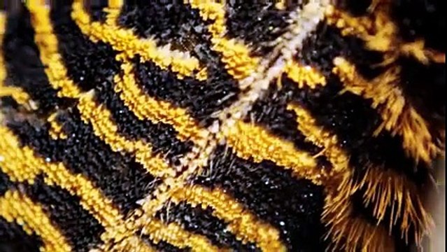 Love Again (feat. Gangsta Boo) - Run The Jewels