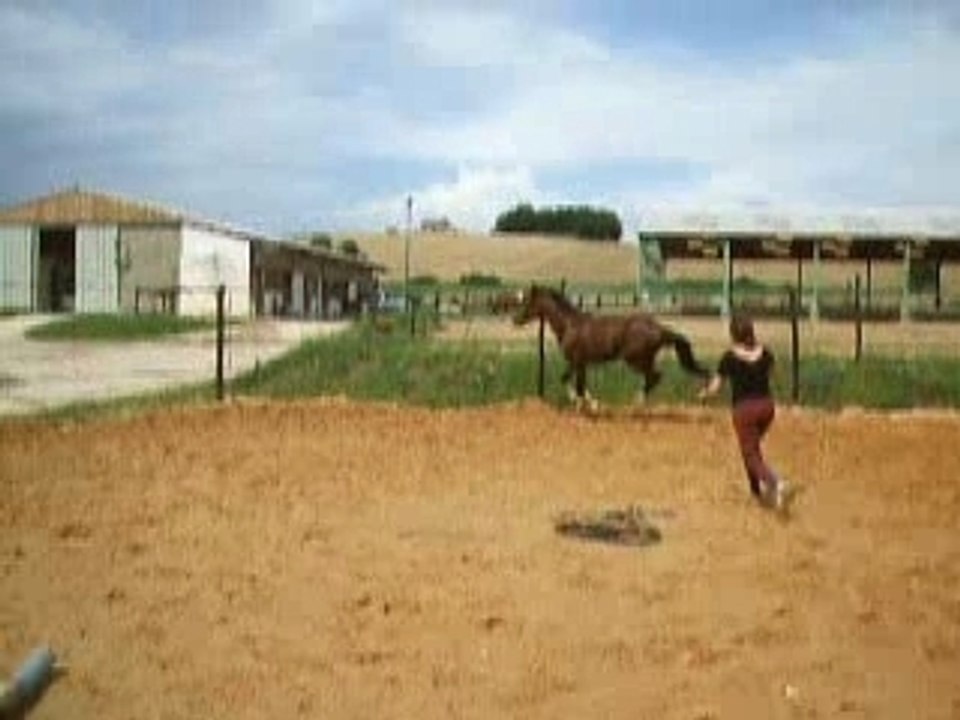 saut en liberté un droit (1ère fois)