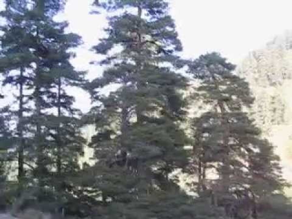 Bolu Dağları Gezi Çekimi