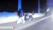 Dashcam Video Shows Moment When Cop Pulls Woman Off Bridge's Edge