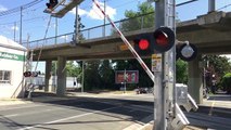 19th Street Railroad Crossing With Malfunction After Train Pass, SACRT 237 Light Rail
