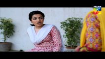 Zindagi Tujh Ko Jiya Episode 33 Full HUM TV Drama 18 April 2016