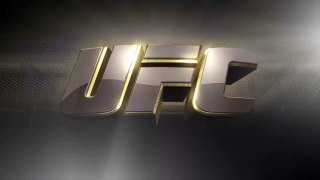 EA SPORTS™ UFC® - Fight Now