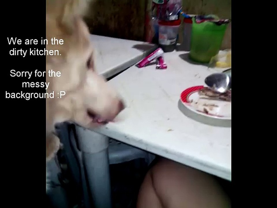 Bodie eating fish