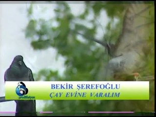 Hacı Bekir Şerefoğlu - Çay Evine Varalım