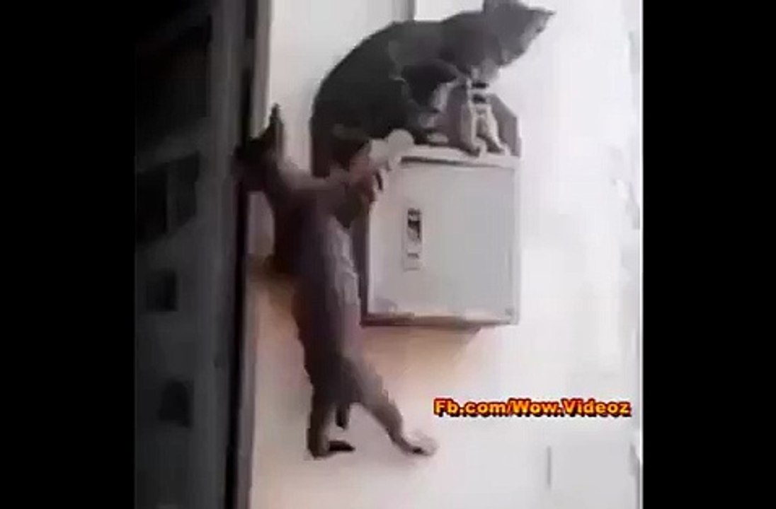 الڑیشان