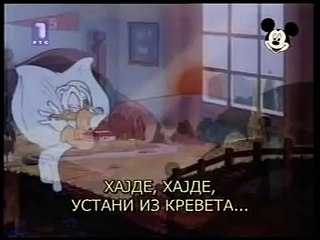 Paja Patak - Pajin slobodan dan