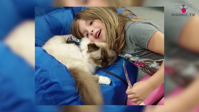 Un programme pour aider les enfants à s'améliorer en lecture grâce à un chat ! Découvrez-le dans la minute chat #193