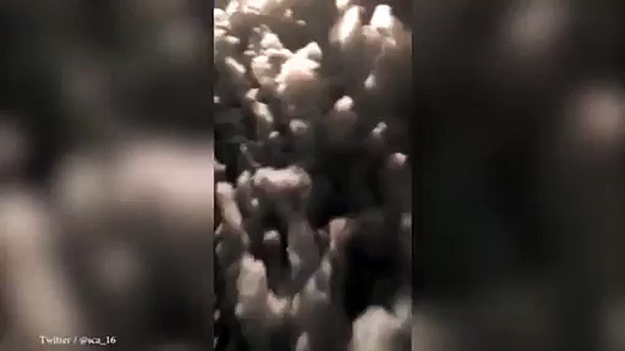 Strange Seen In Street Of Japan, Foam Fills The Streets Of Japan