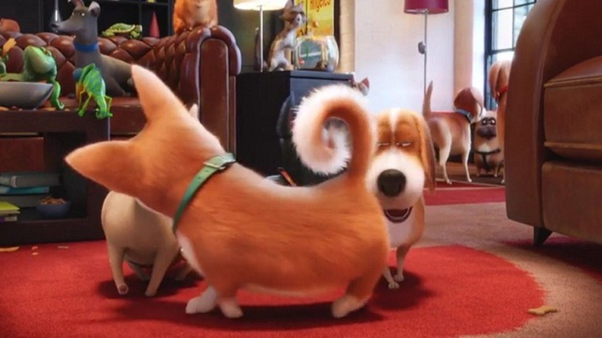 ⁣The Secret Life of Pets (2016) Full Movie [HD] {1080}