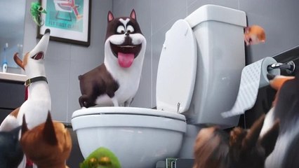 The Secret Life of Pets (2016) Full Movie [HD] {1080}