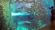 Dubai Palm Jumeirah Atlantis Aquaventure Rides amazing video