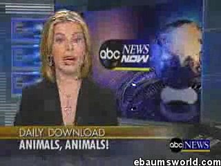 Man Hug Lion| Amazing Videos