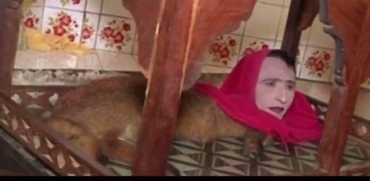 Half Fox And Half Women (Mumtaz) real or Fake