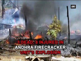 3 dead, 8 injured in Andhra firecracker units explosion