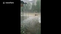 Large hailstones hit southern China
