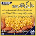 Daal ( Har Qisam Ki daal) K Faide