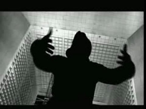 fréko et son assos de dingos