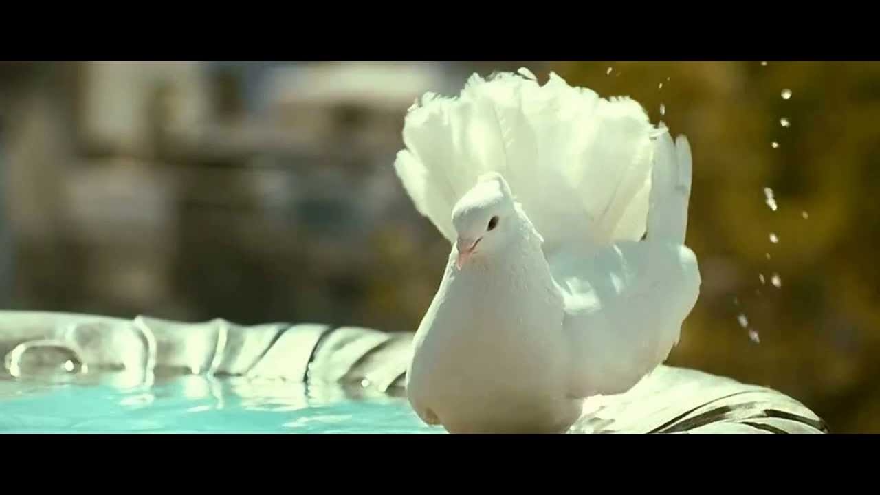 Masakali Remix Full Video Song - Delhi 6 - HD